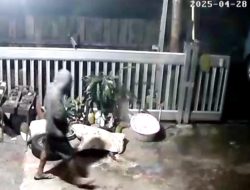 7 Kali Beraksi, Pelaku Pencurian Biji Kakao Berhasil Dibekuk Tim Resmob Polres Kotamobagu