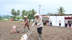 Kebut Swasembada Pangan Nasional, Kapolres Kotamobagu dan Forkopimda Laksanakan Penanaman Jagung Serentak Kuartal III