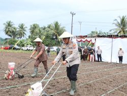 Kebut Swasembada Pangan Nasional, Kapolres Kotamobagu dan Forkopimda Laksanakan Penanaman Jagung Serentak Kuartal III