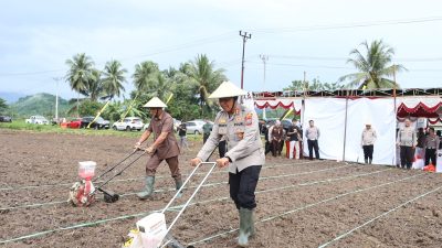 Kebut Swasembada Pangan Nasional, Kapolres Kotamobagu dan Forkopimda Laksanakan Penanaman Jagung Serentak Kuartal III