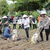 Wali Kota Weny Gaib Dukung Penuh Penanaman Jagung Serentak untuk Swasembada Pangan 2025