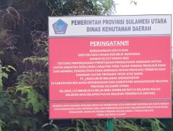 PETI Disorot, Aparat dan Pemerintah Turun Tangan, JRBM Lakukan Pendekatan Persuasif dan Lapor ESDM