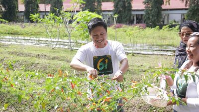 Panen Cabai di RSUD Kotamobagu Warnai Peringatan HKN, Wawali: Bukti Nyata Upaya Lawan Inflasi dan Wujud Ketahanan Pangan Daerah